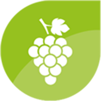 Icon Ernährung